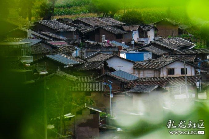 三小只僵尸的游戏时间2